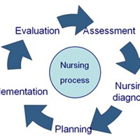 Портфолио Vanessa Rene Griggs